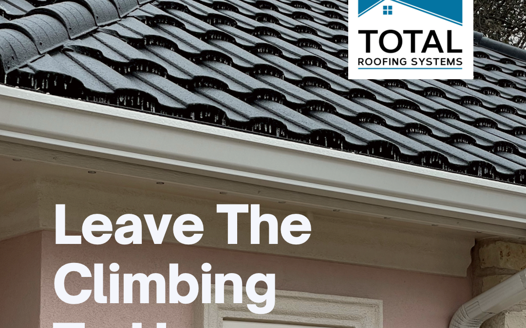 Roofing Systems that Deliver Excellence